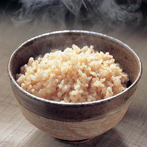 Micom Rice Cooker & Warmer, Fuzzy Logic, Multi-Menu